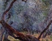 克劳德 莫奈 : Study of Olive Trees